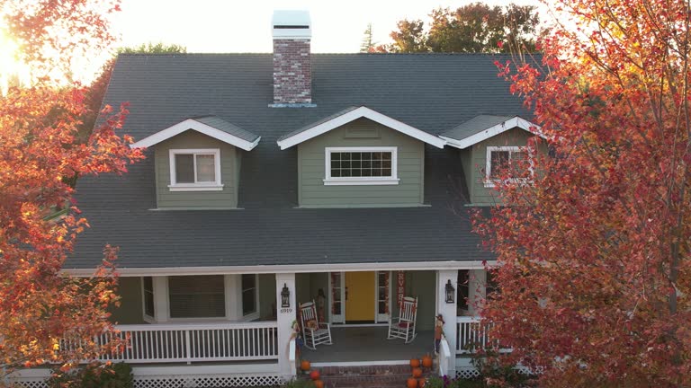 Best Green or Eco-Friendly Roofing Solutions  in Ludington, MI