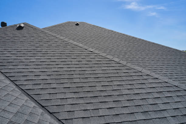 Best Roof Maintenance and Cleaning  in Ludington, MI