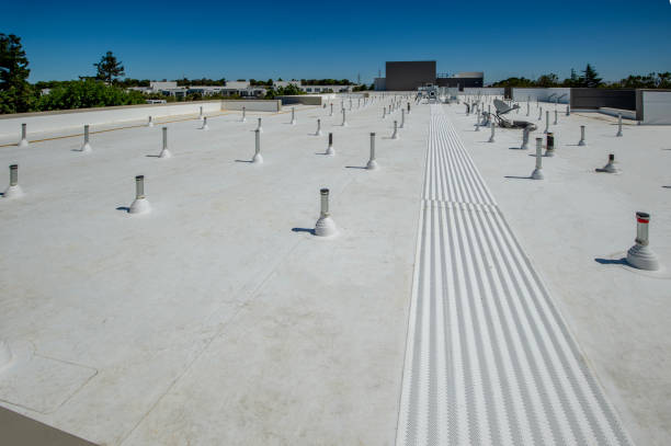 Best Wood Shake Roofing  in Ludington, MI